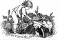 Image of E-book Wood Magic : A Fable